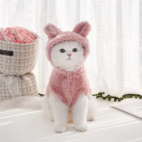 Vêtements en polaire douce pour animaux de compagnie, manteau à capuche mignon pour petits et moyens chiens chats, automne hiver, chiot, veste à capuche, pull, vêtements carlin