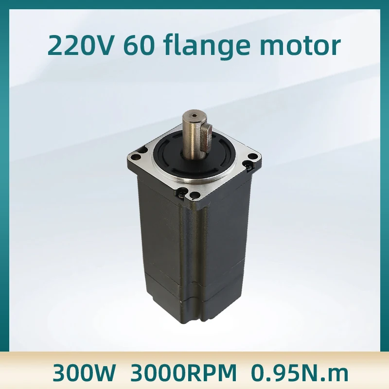 

60mm Brushless DC motor 310V DC 300W 3000rpm 121mm Body Length High Voltage Speed BLDC