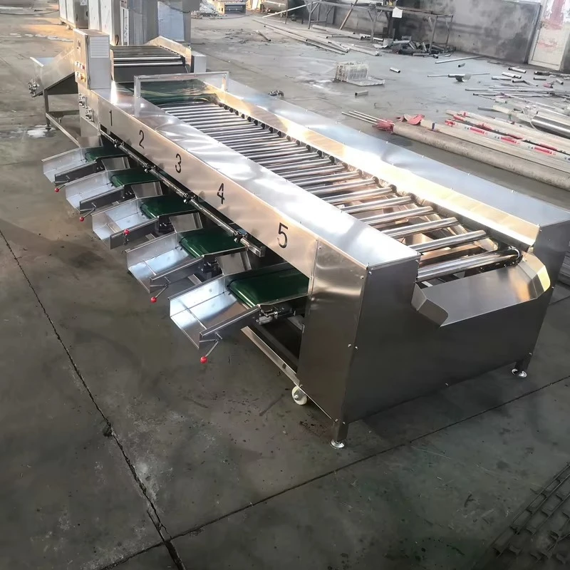 Fruits Vegetable Onion Grape Orange Peach Pepper Plum Pear Nectarine Blueberry Sorter Grading Sorting Machine Price