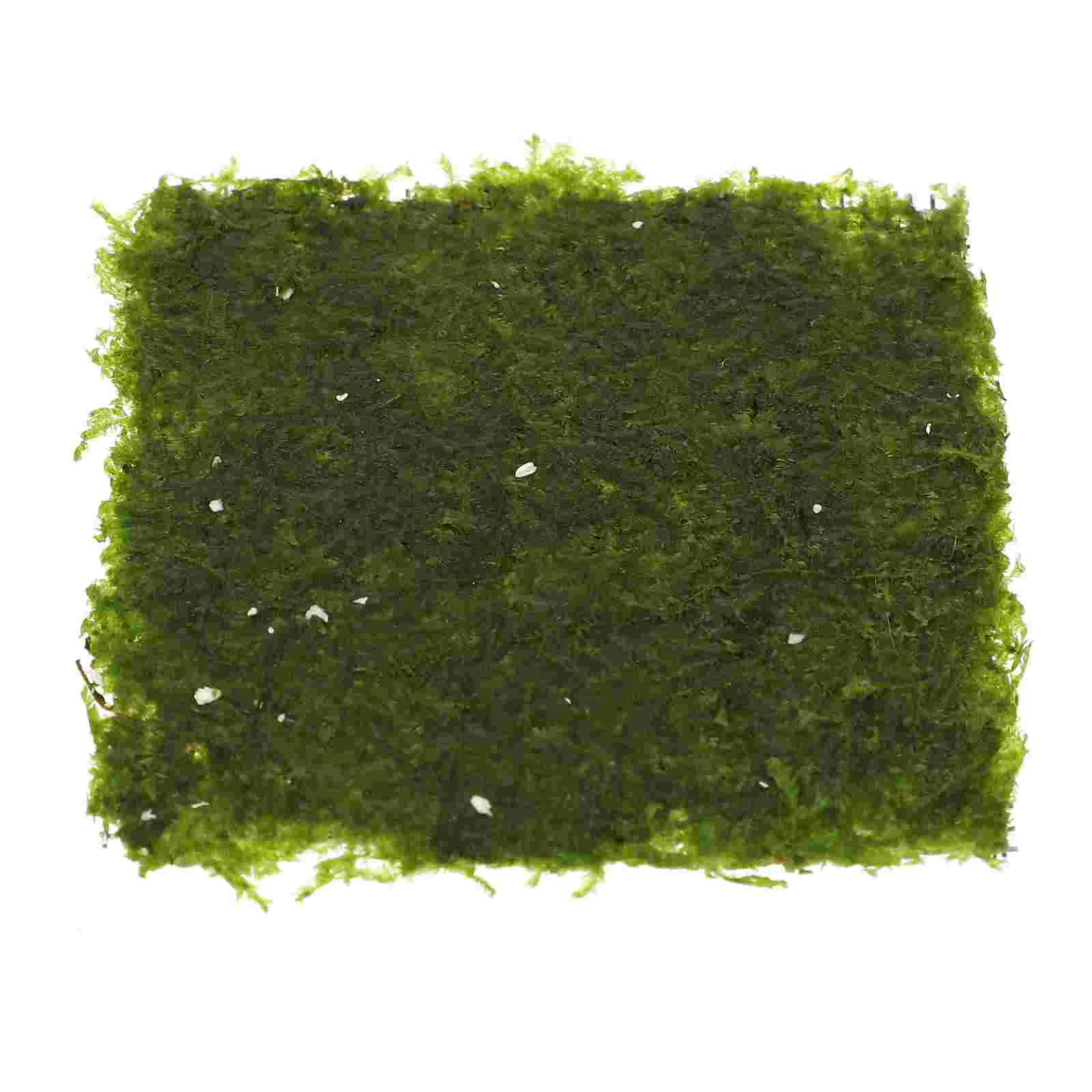 

Aquarium Moss Aquatic Plants Pet Cage Vibrant Fish Tank Fern Landscape Decor Decorations Green Ornament