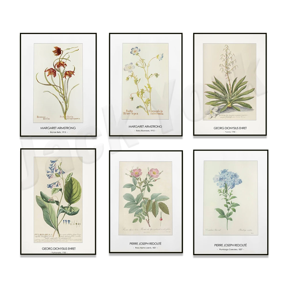 Vintage Botanical Poster, Mahogany Ring Leaf, Pasifora Vacemosa, Alpine Rosa 1828, Floral Print, Modern Farmhouse Wall Decor