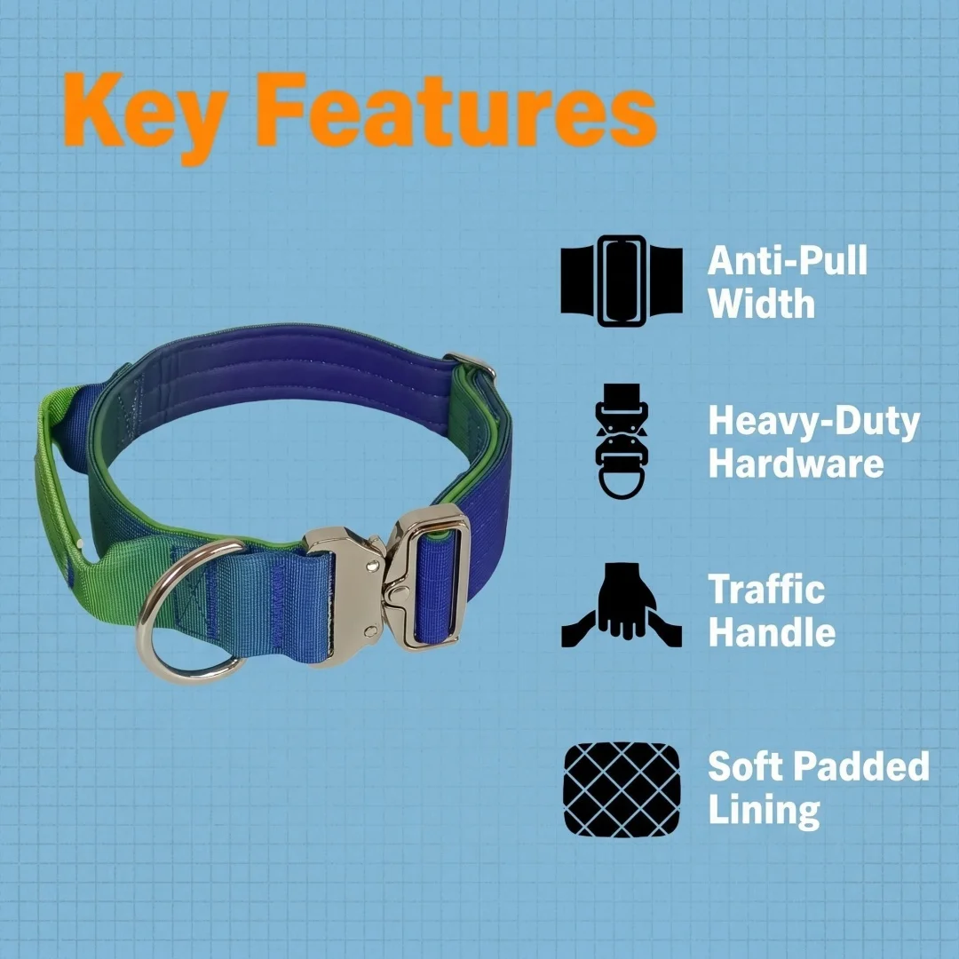 Thumbnail 2 - #44 Puppy Training Collars Comparison Guide