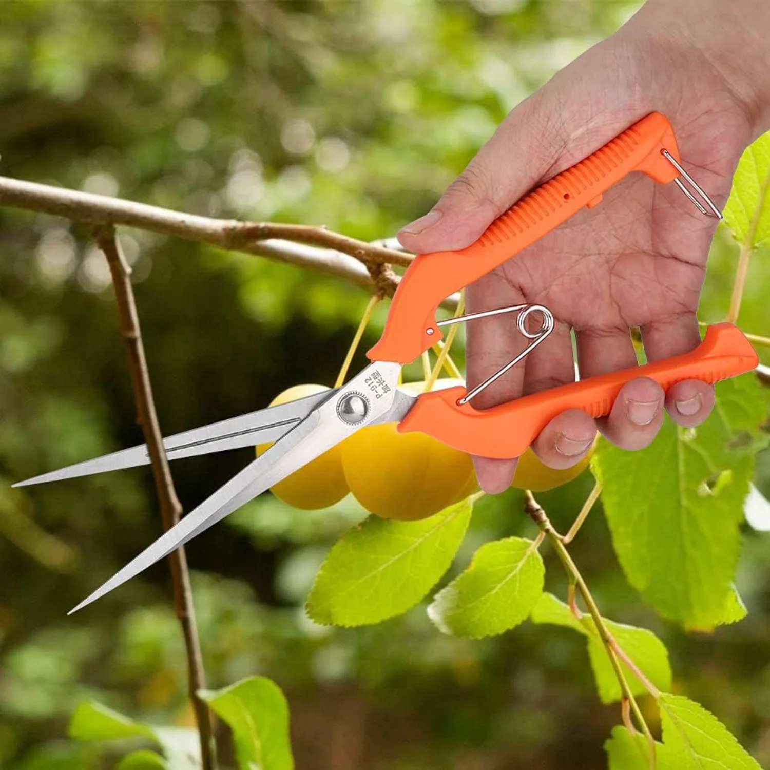9.8 Inch Gardening Hand Pruner, Extra Long Stainless Steel pruners  Plant Trimming Scissors for Narrow Space, Extra Long  Prunin