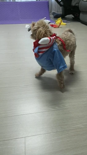 리뷰 사진