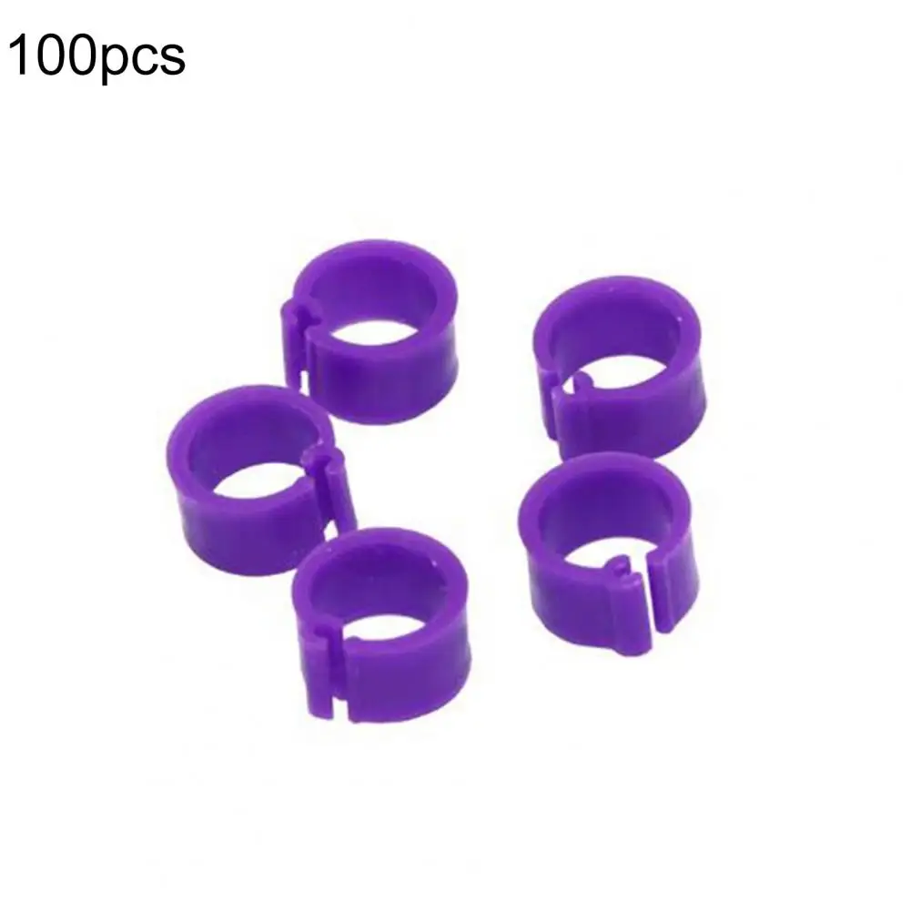 Pigeons Rings 8mm Identification Ring Opening Pigeon Ring Color Pigeon Foot Ring Pigeon Supplies Bird Appliances 100 Pcs