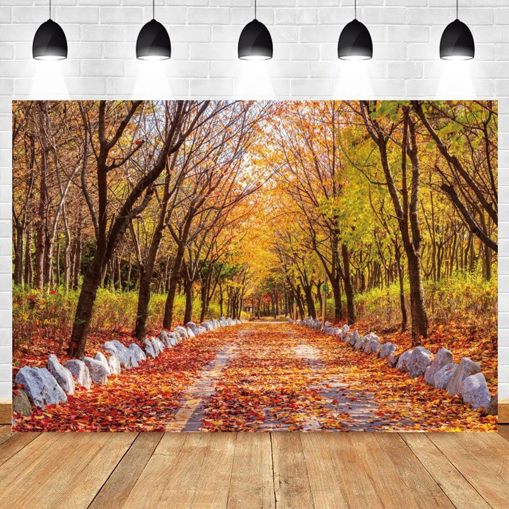 여성용 날 사진 배경, 어머니의 날 3 월 8 일 꽃 풍선 배경, 생일 파티 장식 사진 스튜디오 소품