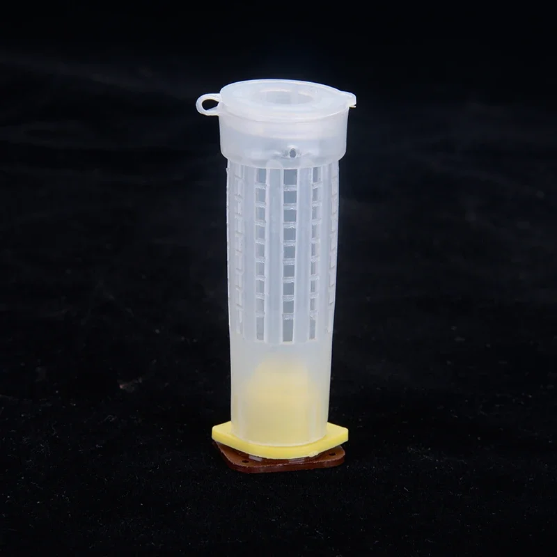 A100/200Pcs Queen Bee Protective Cover Prisoner Queen Cage Beekeeper Tool Garden Beekeeper Queen Bee Catcher