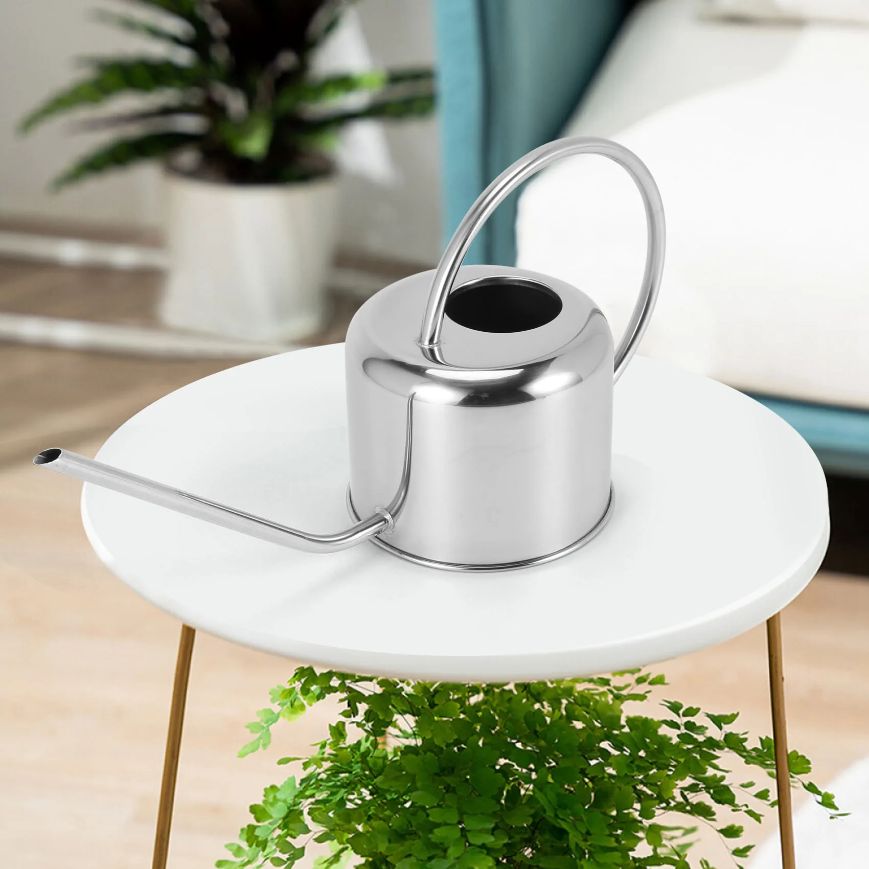 European Gardening Watering Can Pot Stainless Steel 900Ml Household Shower Pot Small Watering Flower