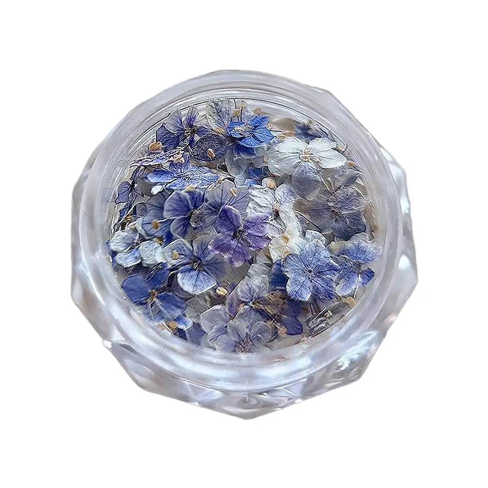 Getrocknete Blumenmaterialien für Nägel, romantische Monet-Garten-Farbpalette, lebendige Accessoires, Wildblumen-Nagelkunst-Dekorationen, Werkzeuge
