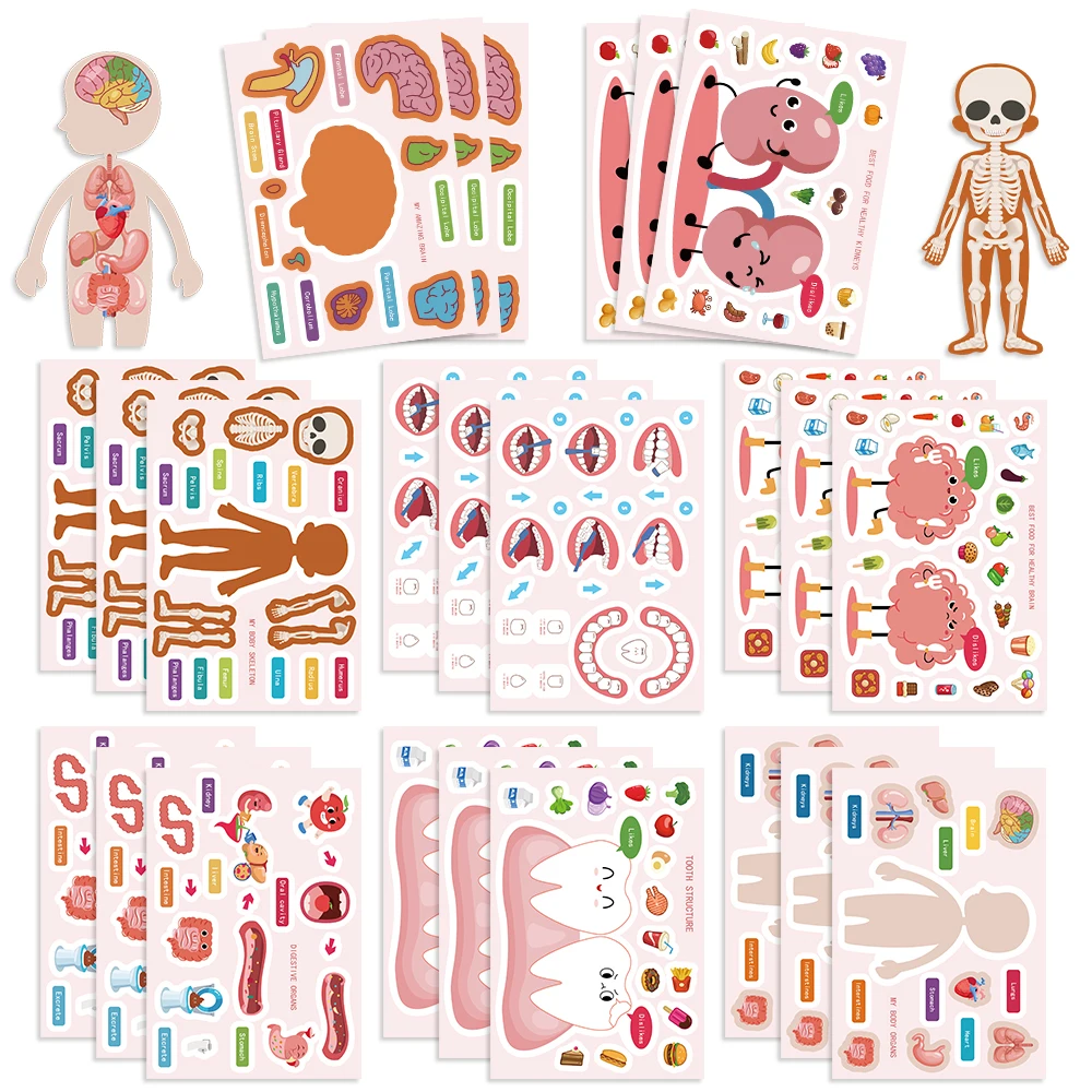 8/16/24Pcs Organ Recognition DIY Puzzle Sticker Human Body Disassembly Make A Face Funny Assemble Stickers Educational Toys