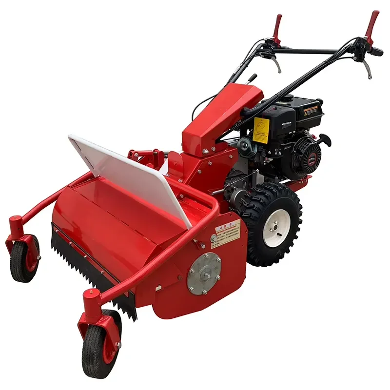 Large Wheeled Lawn Mower Garden Lawn
