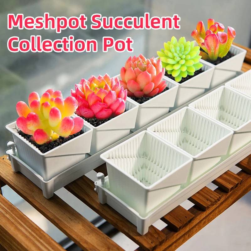 

Pot for Succulent Cactus Collection Rectangular Plant Pot Square Flower Pot for Windowsill Home Decoration Garden Kits