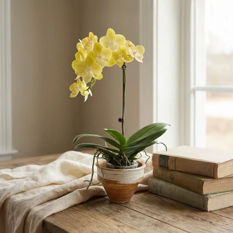 Creative Clay Flower Pot Retro Desktop Decoration Indoor Plant Vase Aesthetic Art Pretty Balcony Flowerpots Home Decoration
