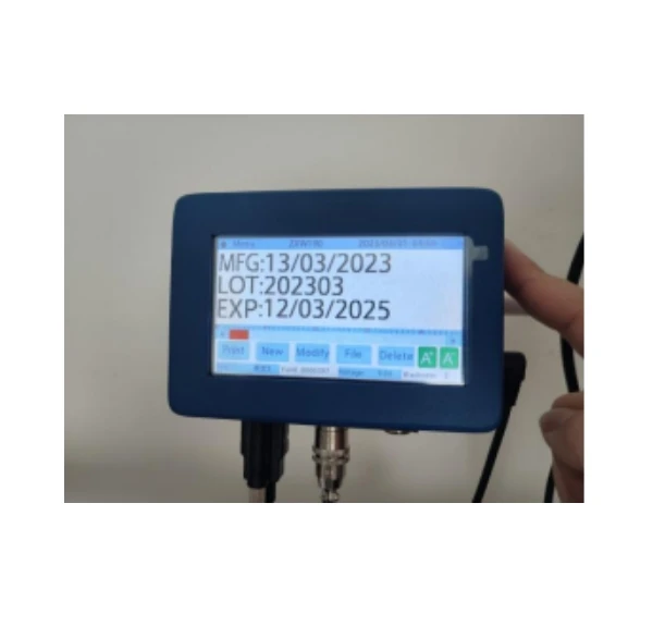 Automatic Inkjet Printing Machine with Conveyor for QR Code Serial Number Expiry Date