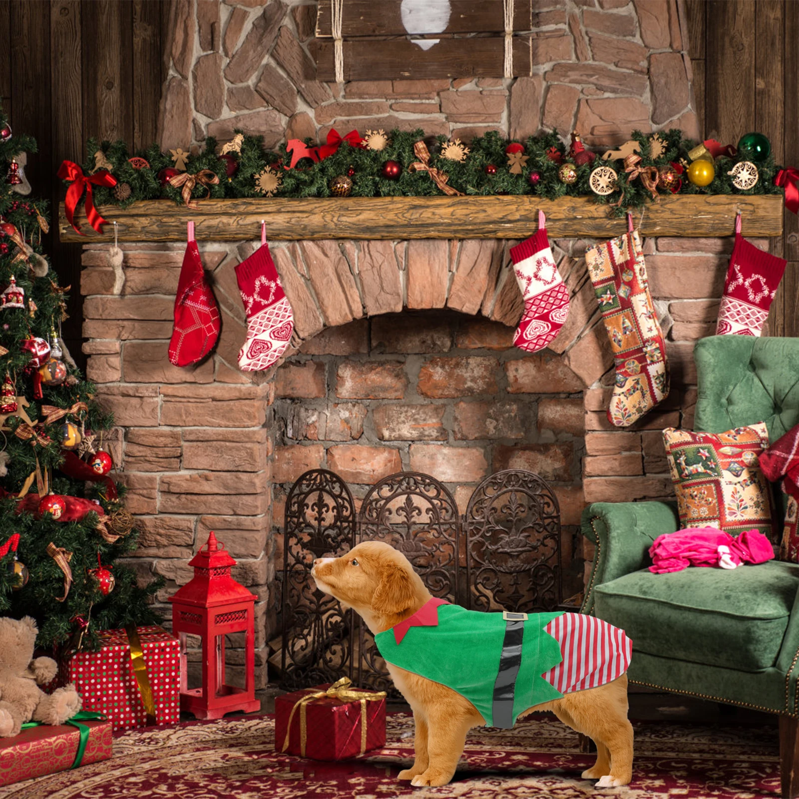 

Christmas Velvet Dog Costume Design Lovely Pet Clothes Christmas Pet Coat Cute Dog Clothes Pet Dog Coat