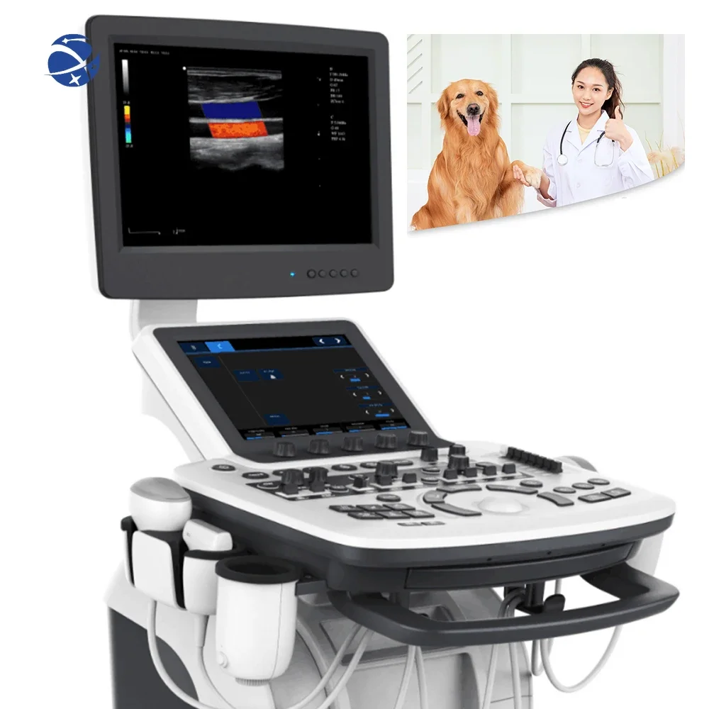 15 Inch multiple probe 3D 4D Digital Vet human ultrasound scan ecocardiografo Color doppler ultra sound machine