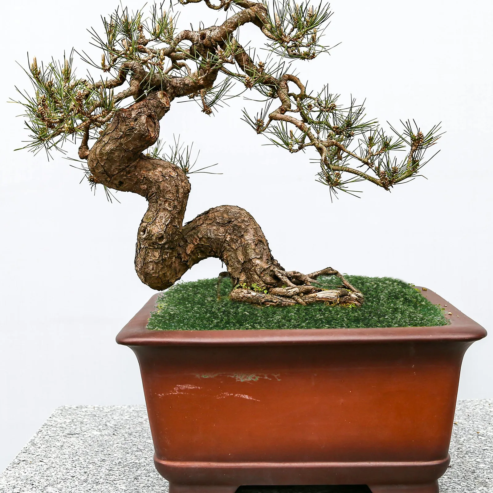 

Искусственные пучки фиолетовой травы: реалистичная имитация, миниатюрные цветочные кусты для железнодорожного макета, ландшафтного декора, оформления местности