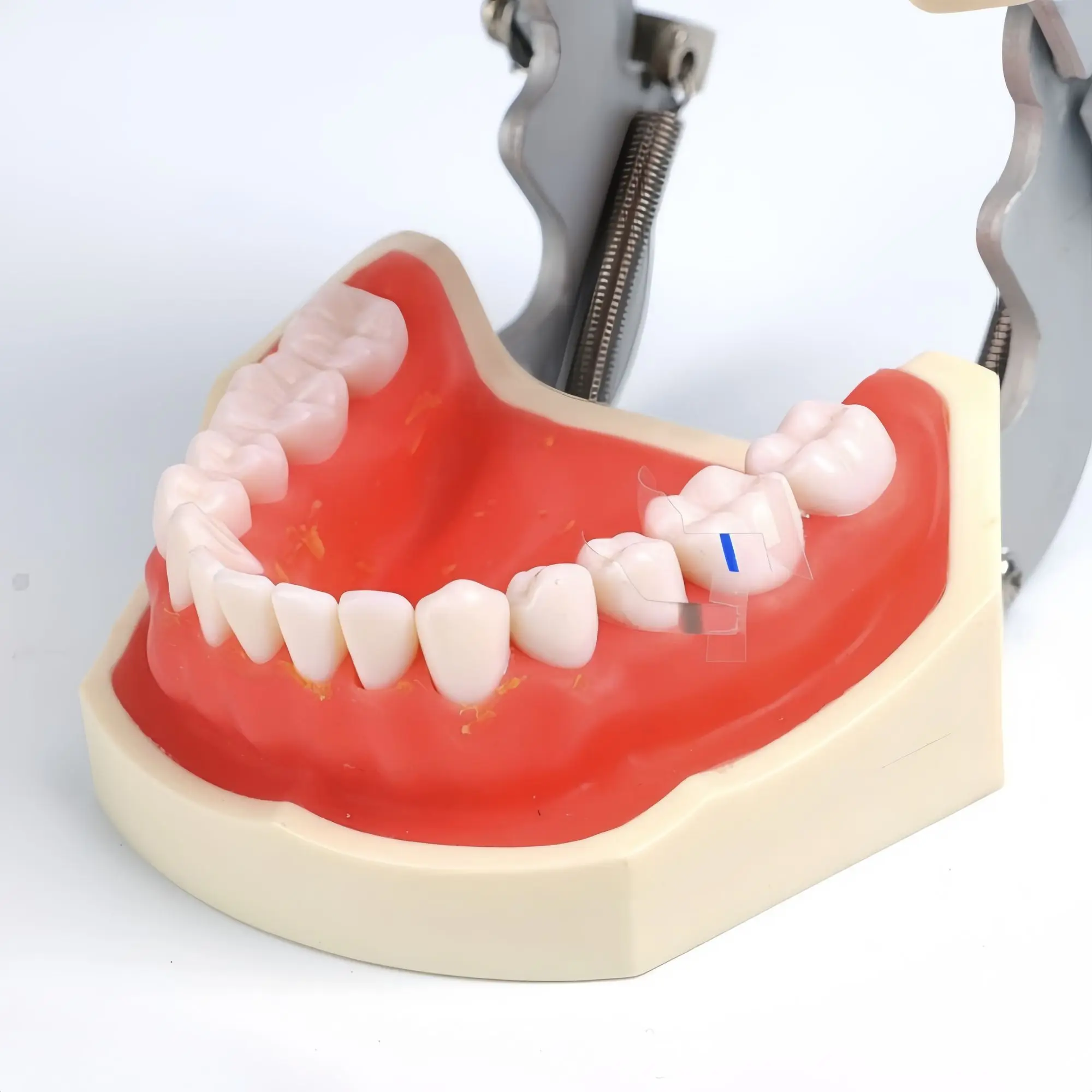 

50PCS/ Box Dental Resin Transparent Molded Sheet Anterior Posterior Tooth Filling Dental Filling Tools Resin Molded Sheet Clinic