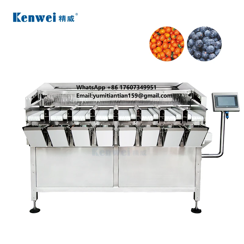 Automatic Pack Pouch Food Weighing Packing Machine Dehydrated Fruits and Vegetables Bag Linear Weigher Package