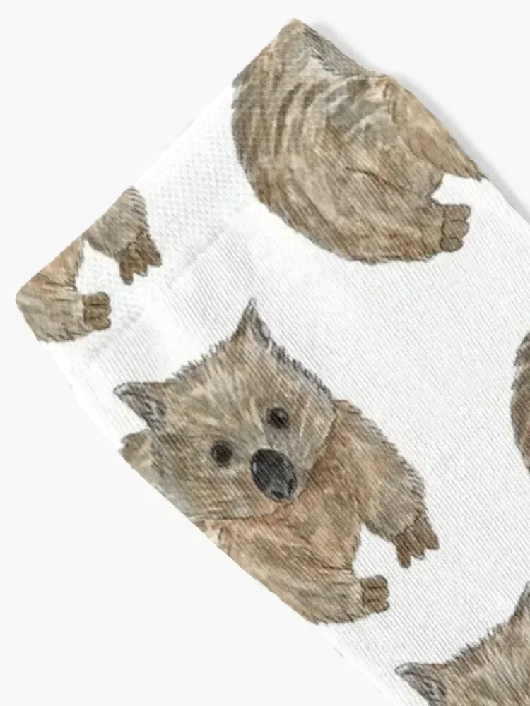 Wombat - Australian Animal painting Socks football summer Women Socks Men's