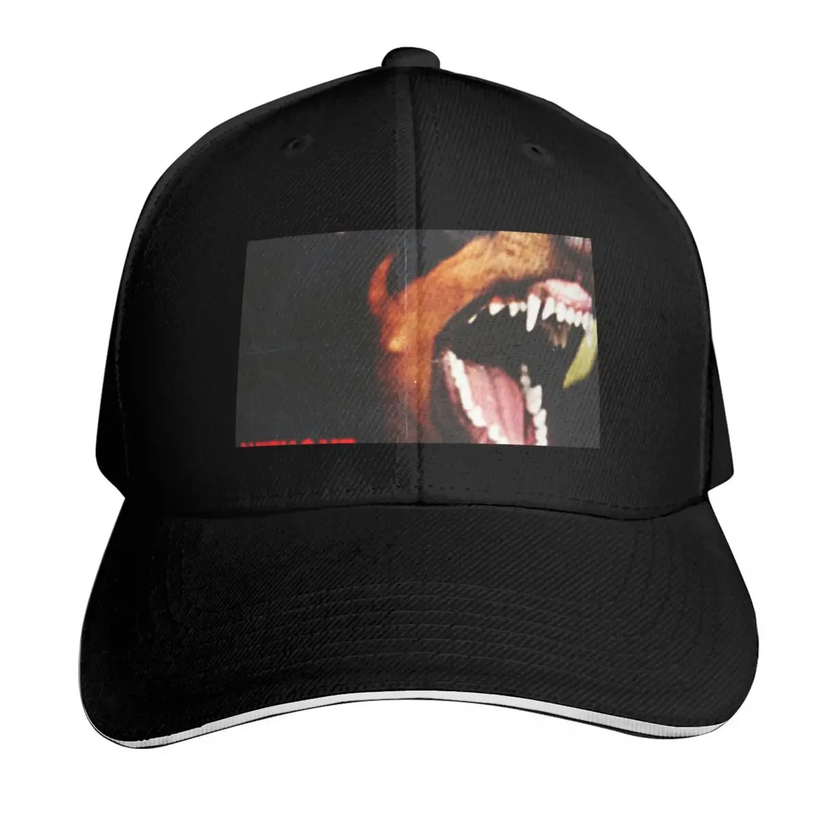 Without warning Baseball Cap Gift for Him Her Casual Daily Wear Quick Dry Performance