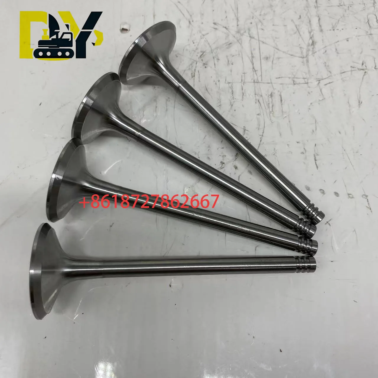 

High quality diesel engine overhaul parts F4M2011 valve