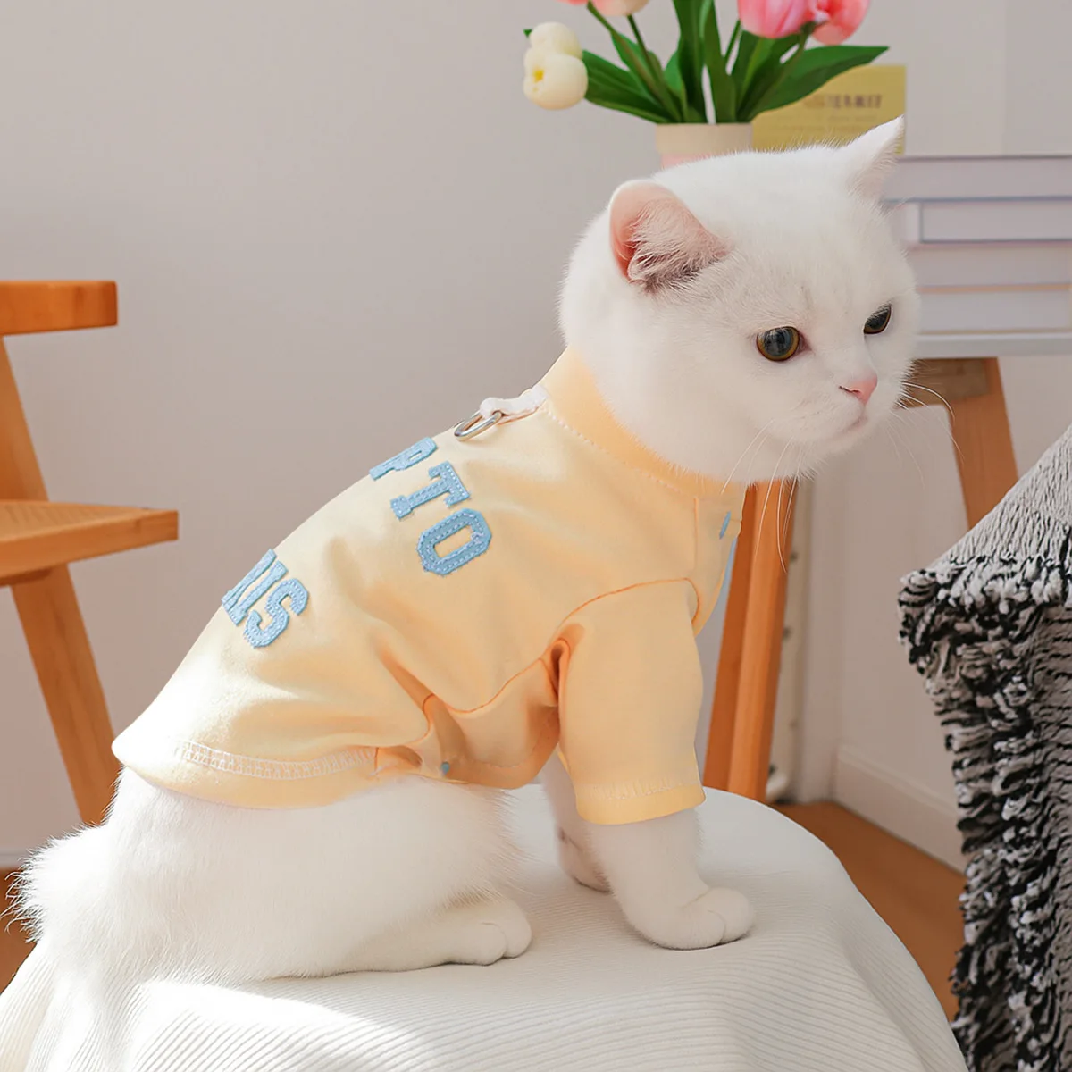 

Pet Clothes For Small To Medium-sized Dogs Autumn And Winter Casual Cat Clothes Spring And Autumn Letter Hoodie For Cats