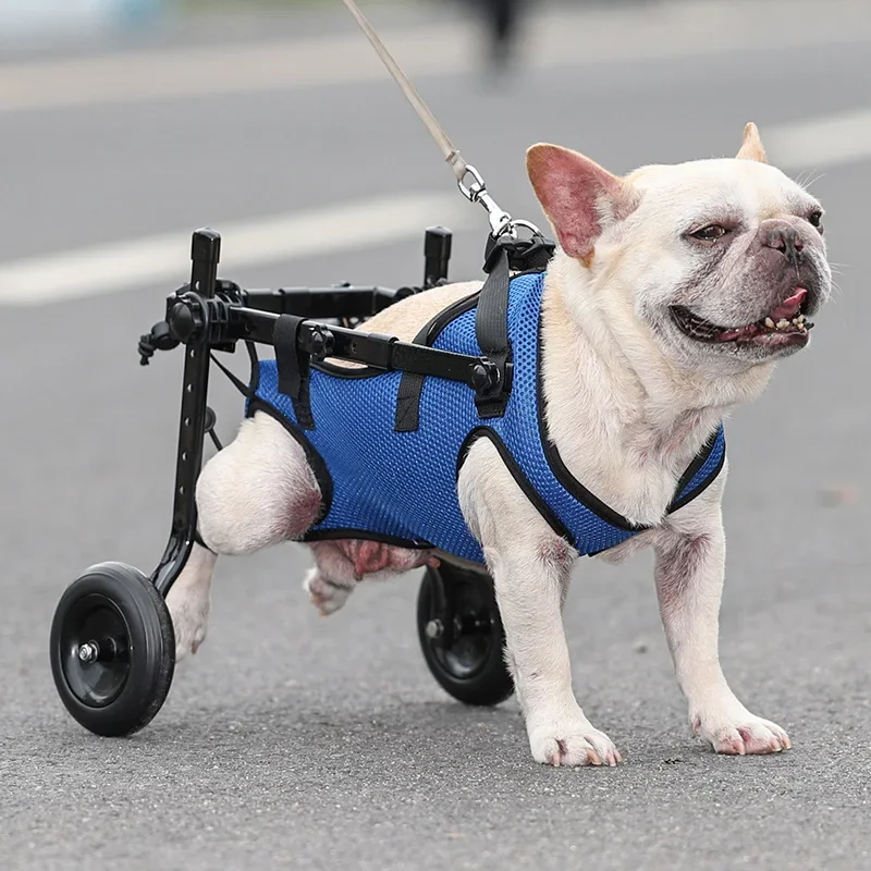 Aluminum Alloy Wheelchair for Animals, Dog Rehabilitation Walking Assistance Carts, Pet Leg Walking Mobility Scooters Disabled