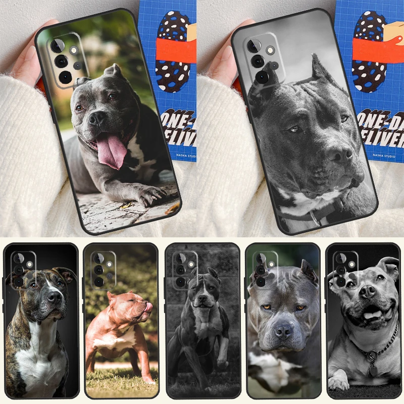 Pit Bull Pitbull Do…