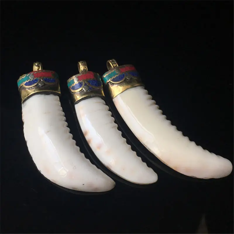 

3PCS Nepal Old Conch Shell Big Pendants Tibetan Fang Amulet for Man Clamshell TBP556