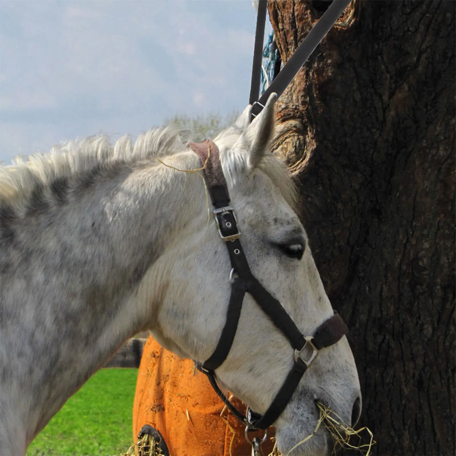 2 قطعة حزام دلو الحصان الثابت القابل للتعديل حبل نايلون أسود متين ومستقر معلق شبكة القش سهلة الاستخدام مشبك معدني #5