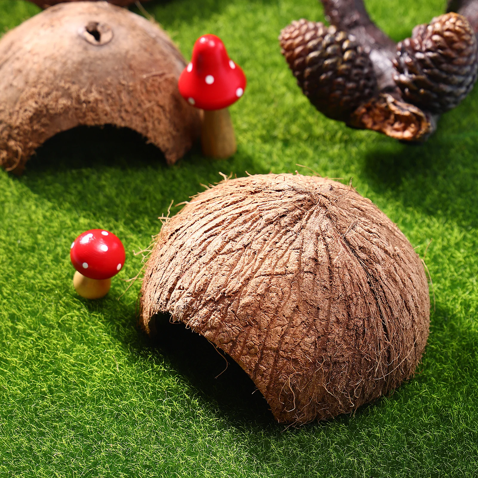 

2Pcs Pet Hideout Natural Coconut Shell Reptile Cave Hut for Lizards Spiders Snails Hermit Crabs Reptile Hideouts Pet Supplies
