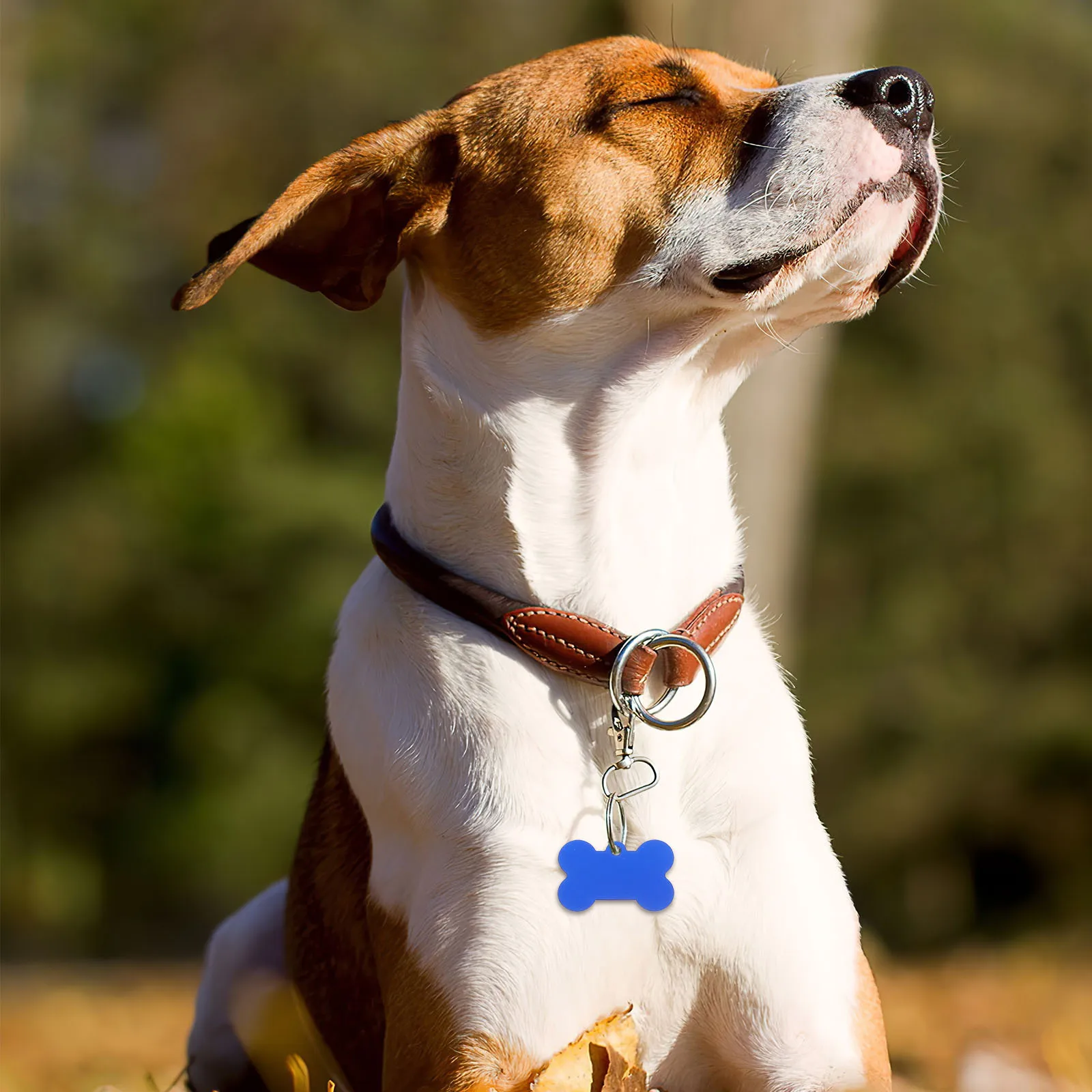 50Pcs Engraved Dog Tags Aluminum Alloy Pet Id Tags Small Cute Name Collar Charms Dog Id Tag Puppy Name Tag Aluminum Alloy Charms