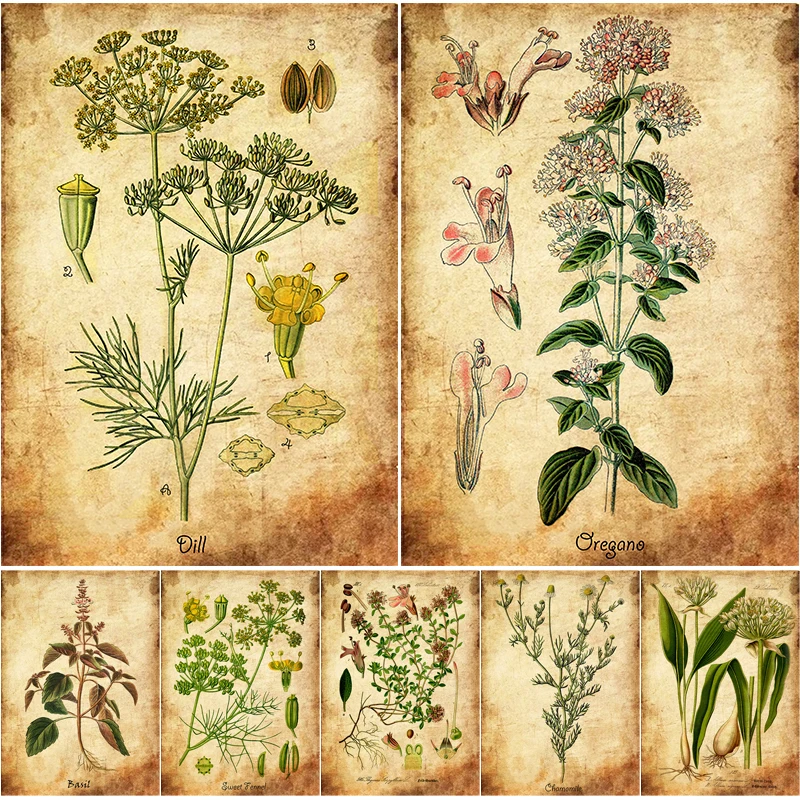 Herb Flowers Retro Poster Vintage Herbal Botanical Illustrations Prints Picture Plants Home Room Kitchen Art Wall Decor Painting