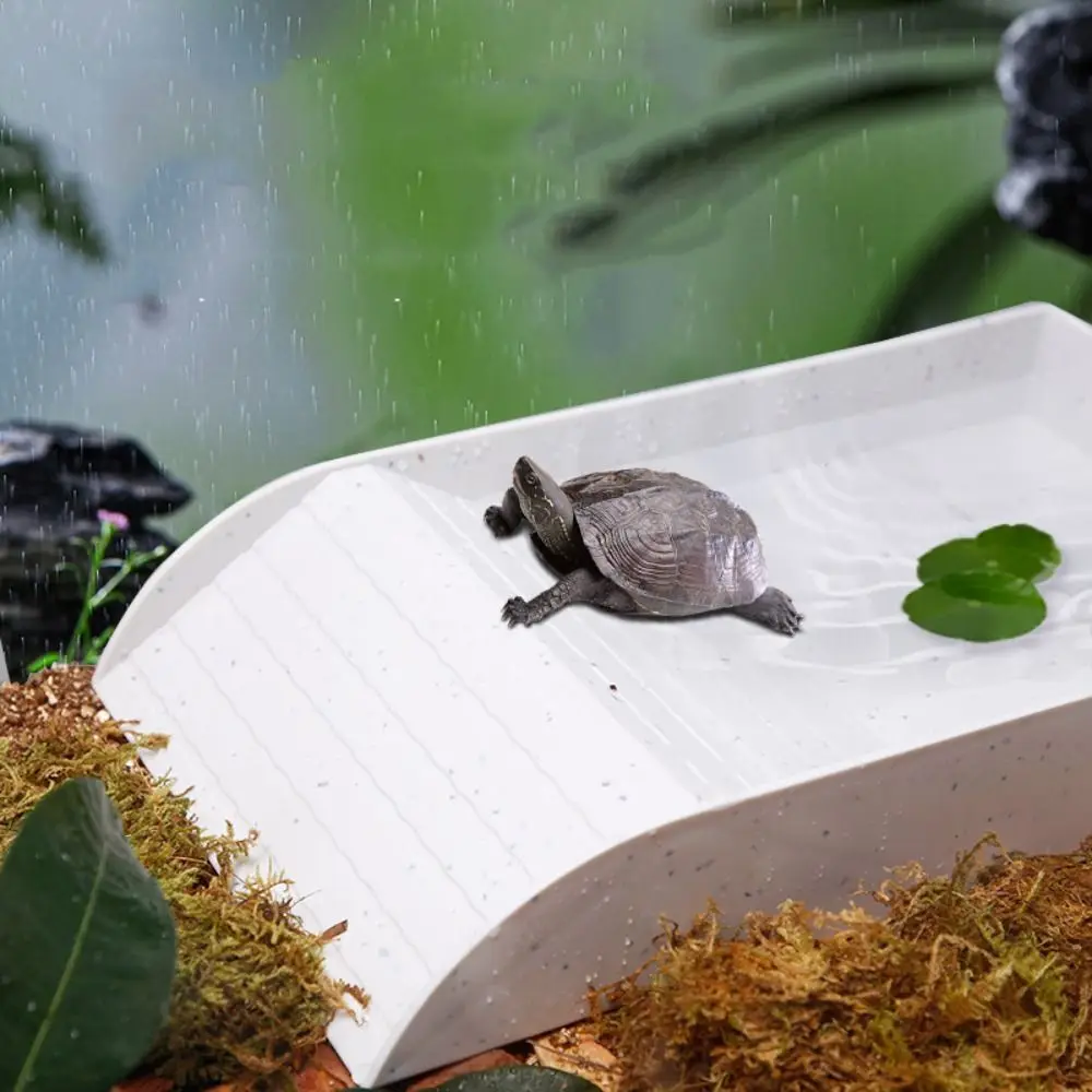 Dish Plastic Turtle Food and Water Bowl Tortoise Accessories for Basking Feeding Bathing