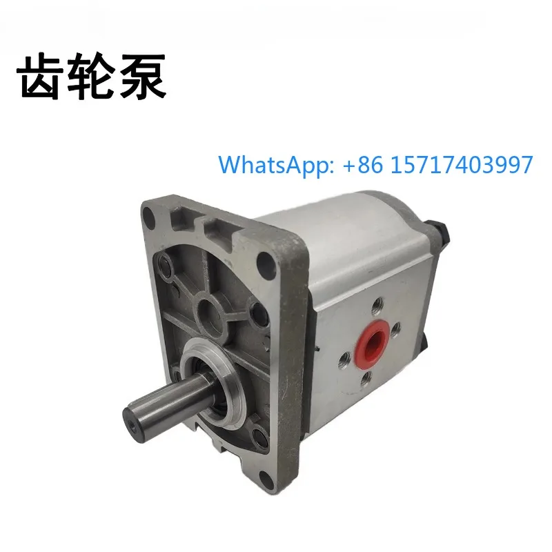 

High pressure gear pump CBN-F304 F306 F310 F314 F316 F320 F325 E hydraulic oil pump