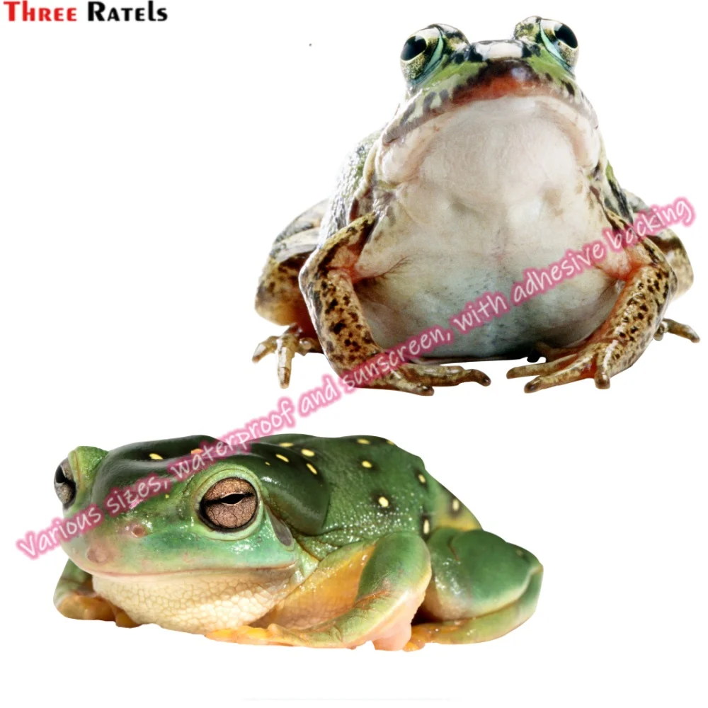 ΠΠ΅ΡΡΠΎΠ½Π°Π»ΠΈΠ·ΠΈΡΠΎΠ²Π°Π½Π½ΡΠ΅ Π°Π²ΡΠΎΠΌΠΎΠ±ΠΈΠ»ΡΠ½ΡΠ΅ Π½Π°ΠΊΠ»Π΅ΠΉΠΊΠΈ Three Ratels N660 Π΄Π»Ρ Jeep Π²ΠΈΠ½ΠΈΠ»ΠΎΠ²ΡΠΉ ΡΡΠΈΠΊΠ΅Ρ Π½Π° ΠΎΠΊΠ½ΠΎ, Π²ΠΈΠ½ΠΈΠ»ΠΎΠ²ΡΠ΅ Π°Π²ΡΠΎΠΌΠΎΠ±ΠΈΠ»ΡΠ½ΡΠ΅ Π½Π°ΠΊΠ»Π΅ΠΉΠΊΠΈ, Π°ΠΊΡΠ΅ΡΡΡΠ°ΡΡ Π΄Π»Ρ Π³ΡΡΠ·ΠΎΠ²ΠΈΠΊΠΎΠ², Π°Π²ΡΠΎΠΌΠΎΠ±ΠΈΠ»ΡΠ½ΡΠ΅ Π°ΠΊΡΠ΅ΡΡΡΠ°ΡΡ ΠΠ΅ΡΡΠΎΠ½Π°Π»ΠΈΠ·ΠΈΡΠΎΠ²Π°Π½Π½ΡΠ΅ Π°Π²ΡΠΎΠΌΠΎΠ±ΠΈΠ»ΡΠ½ΡΠ΅ Π½Π°ΠΊΠ»Π΅ΠΉΠΊΠΈ Three Ratels N660 Π΄Π»Ρ Jeep Π²ΠΈΠ½ΠΈΠ»ΠΎΠ²ΡΠΉ ΡΡΠΈΠΊΠ΅Ρ Π½Π° ΠΎΠΊΠ½ΠΎ, Π²ΠΈΠ½ΠΈΠ»ΠΎΠ²ΡΠ΅ Π°Π²ΡΠΎΠΌΠΎΠ±ΠΈΠ»ΡΠ½ΡΠ΅ Π½Π°ΠΊΠ»Π΅ΠΉΠΊΠΈ, Π°ΠΊΡΠ΅ΡΡΡΠ°ΡΡ Π΄Π»Ρ Π³ΡΡΠ·ΠΎΠ²ΠΈΠΊΠΎΠ², Π°Π²ΡΠΎΠΌΠΎΠ±ΠΈΠ»ΡΠ½ΡΠ΅ Π°ΠΊΡΠ΅ΡΡΡΠ°ΡΡ