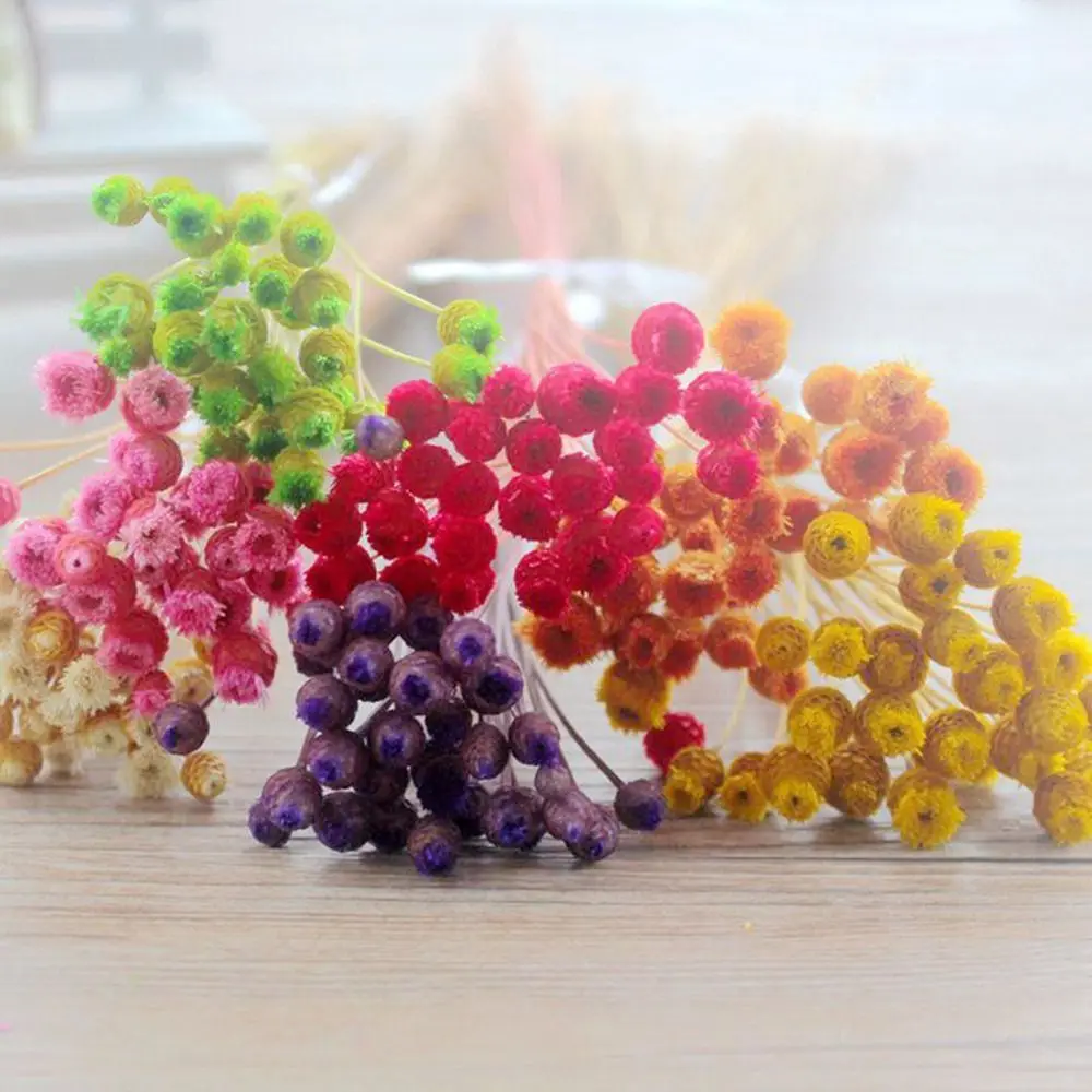 50PCS Press Small DIY Craft Plant Stems Real Flower Fresh Dried Preserved Flowers Dry Flowers Natural Dried Flowers Bouquets