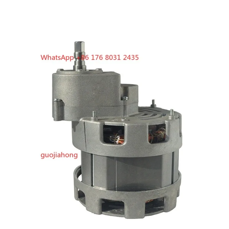 

220V 230V 40/80 Rpm Juicer AC Induction Gear Motor