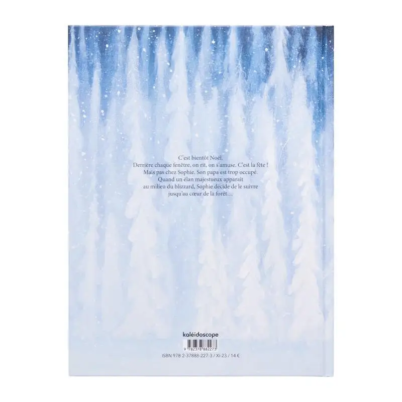 Quelque Part Dans La Neige Linde Faas المشكال 9782378882273 كتاب #2