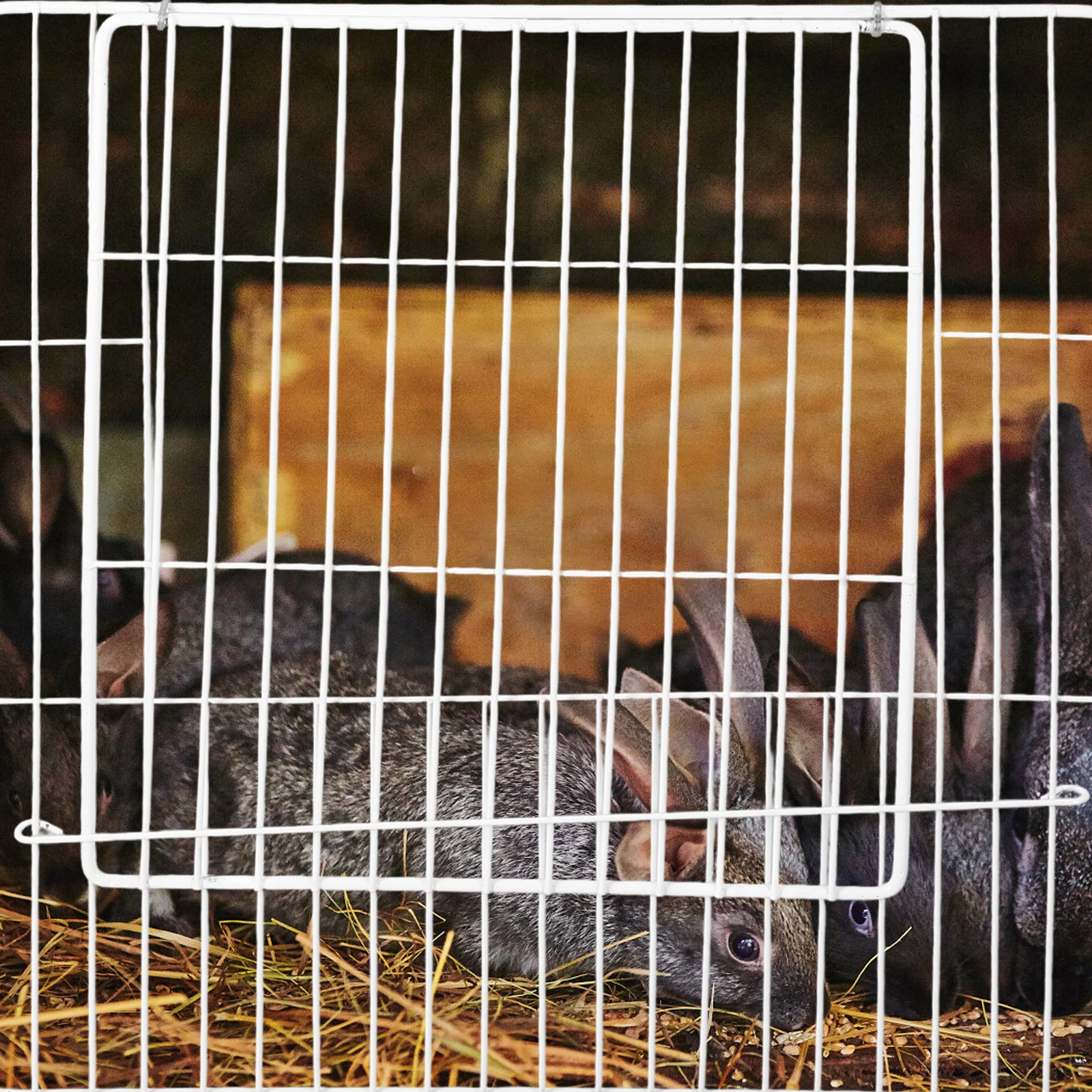 

Pet Cage Fence Mesh Door for Cats Dogs Small Metal Wire Iron Playpen Thickened Wire Door Crate Panel