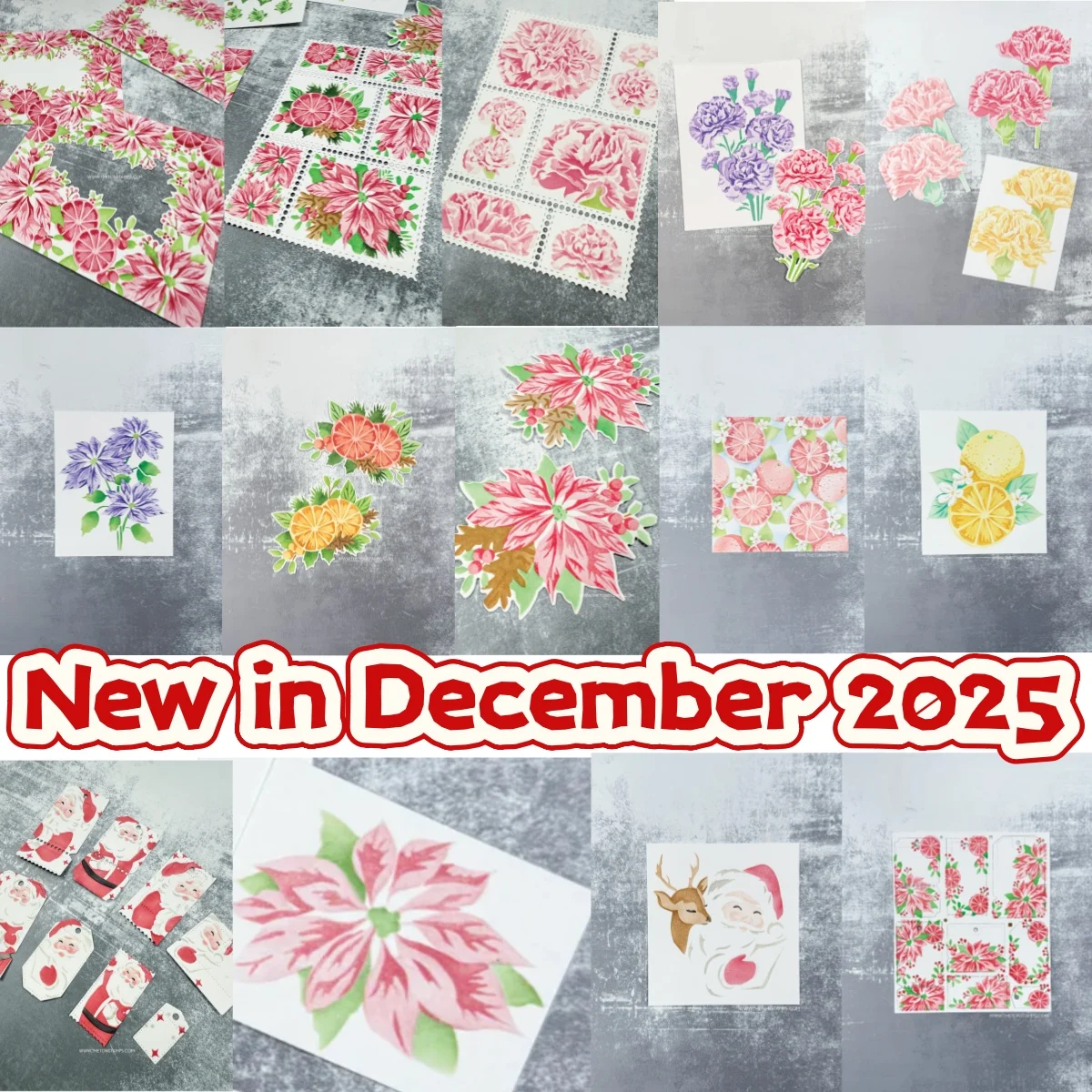 Carnations Poinsettia Tags Citrus Grove Stencil Metal Cutting Dies Clear Stamps for DIY Making Gift Card Scrapbook Spring 2026