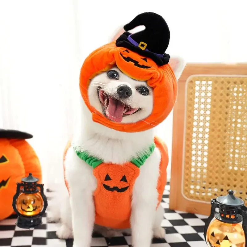 

Face Autumn Clothes Winter And Dog Coat Brand-Name Clothing Windproof Warm Pet Vest French Bulldog Bixiong Chihuahua Poodle