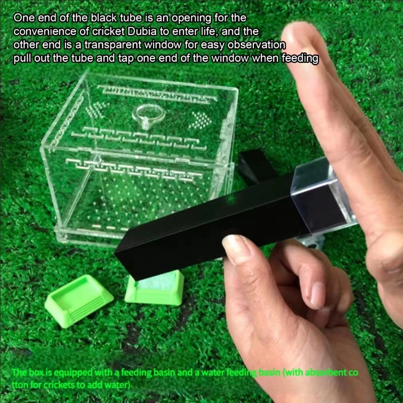 

Transparent Cricket Enclosure Feeding Basins and Hideouts for Home Breeding 37JD