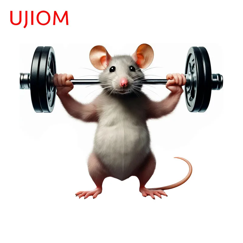 UJIOM The Mouse Lifting A Dumbbell Wall Sticker Creative Fashionable Sunscreen Chambre Decal High Quality Wallpaper Home Decor