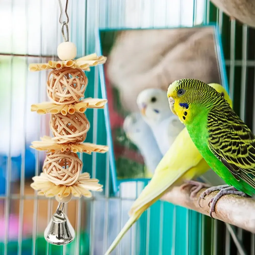 Bird Shredding Toys Chew Toys For Small Parrots Shredding Toys With Metal Hook Colorful Budgie Eaves Decoration Various Birds