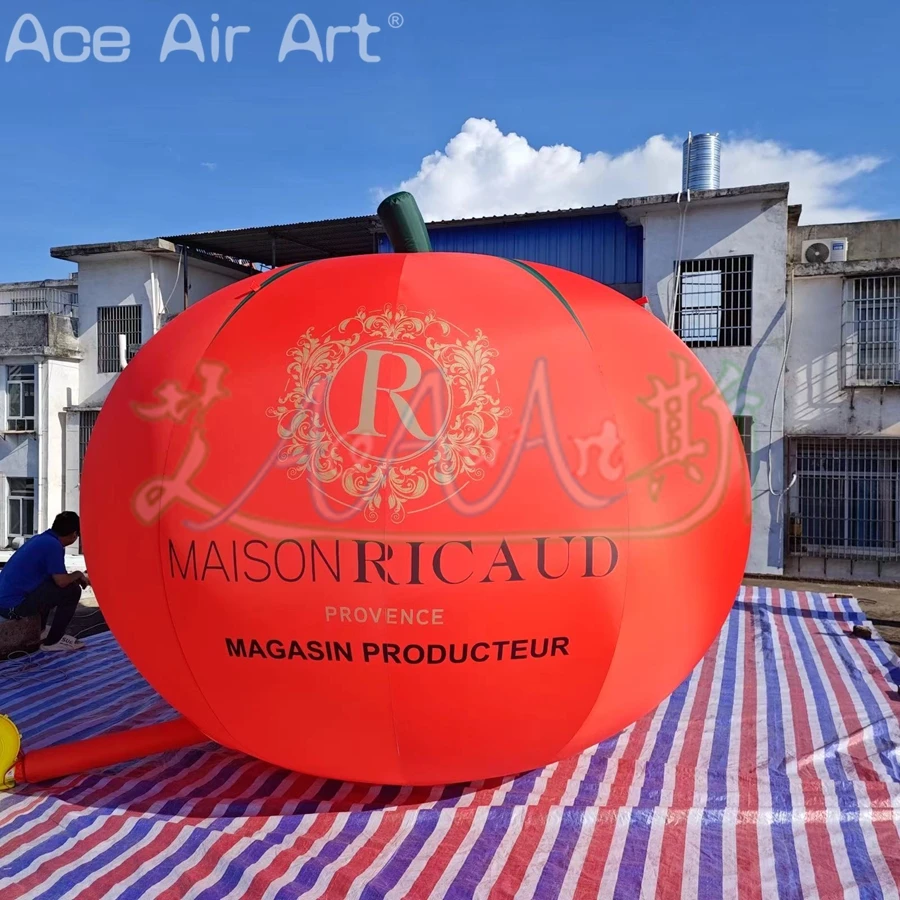 

Свежий сочный надувной помидор, персонализированная модель растения, воздушный шар, надувные овощи для рекламных торгового центра/фарманская реклама