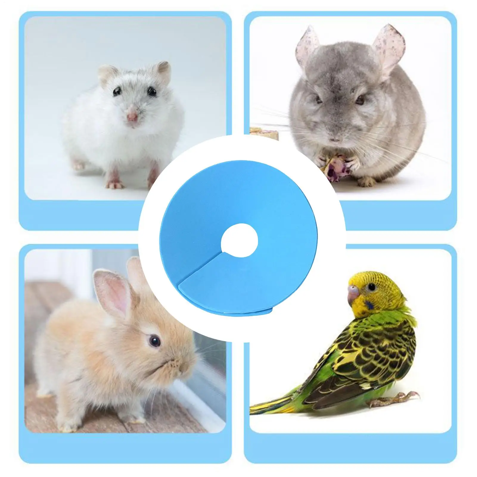 Bird Cone Collar Soft Cat Recovery Neck Cone Collar Small Animals Protective Neckwear For Parrot Daily Travel Bunny Ferret view 3
