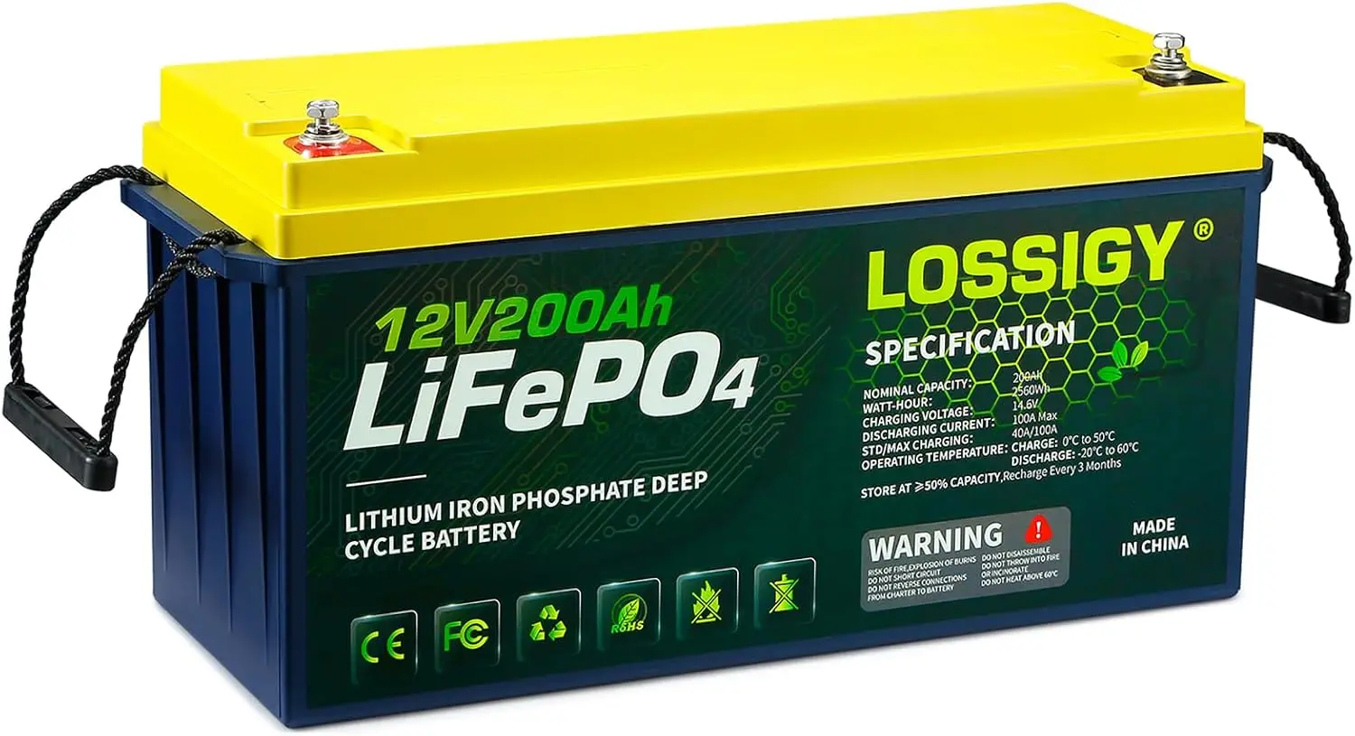 LOSSIGY 12V 200AH Lifepo4 Lithium Battery, 2560Wh with 100A BMS, 4000+ Deep Cycles 10 Yrs Lifespan, Prefect for Any Solar System