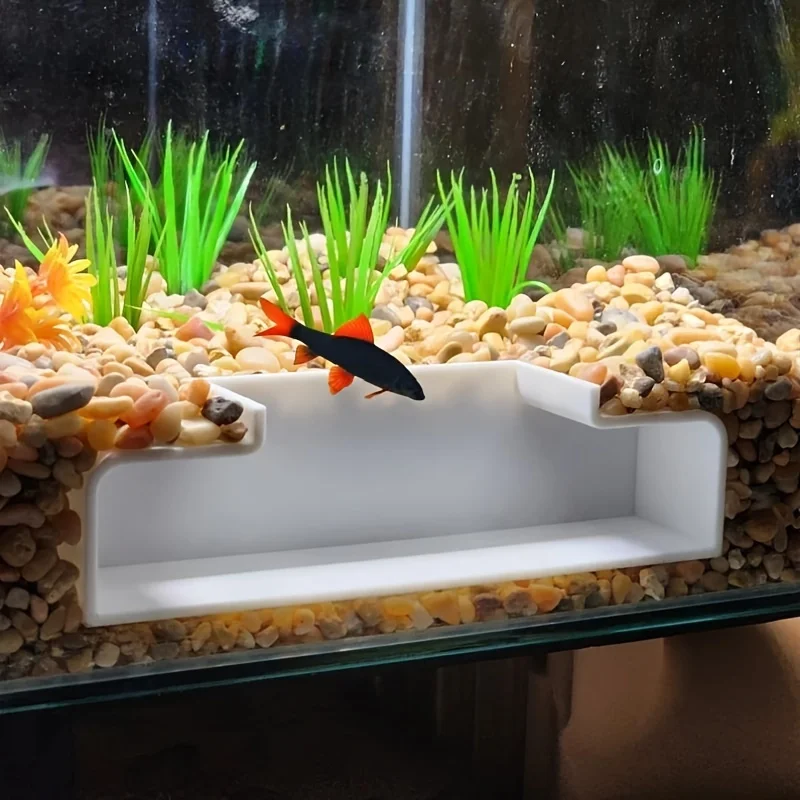 La visualización de cuevas de cristal del acuario proporciona seguridad y relajación.